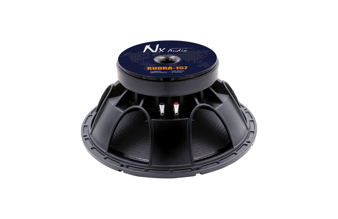 Nx audio speaker 15 hot sale inch